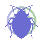 dedetização de percevejos